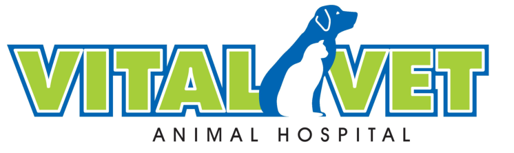 Vitalvet | Ellenbrook Animal Hospital