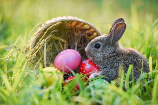 a rabbit with eggs in a basket