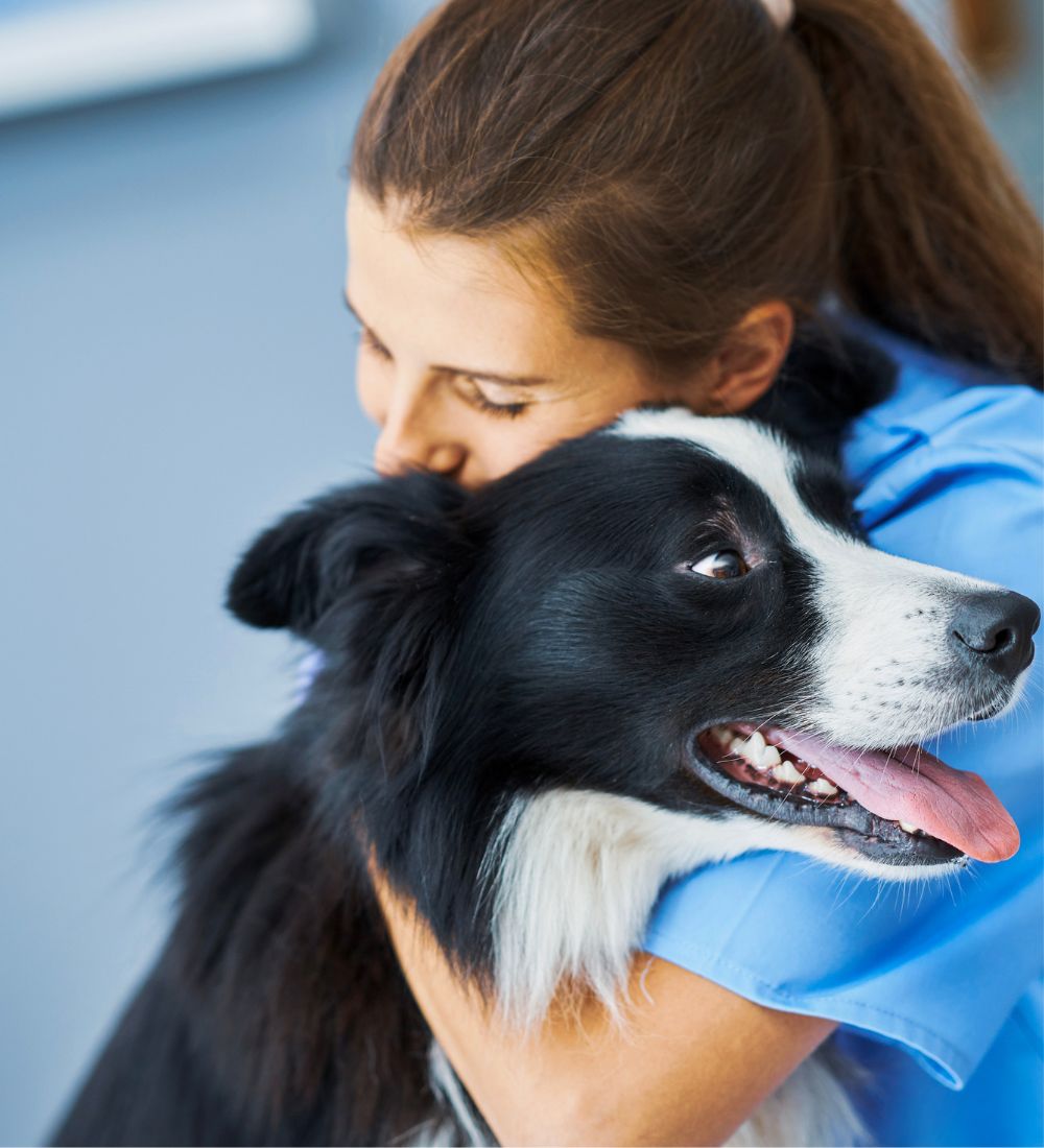 a person hugging a dog