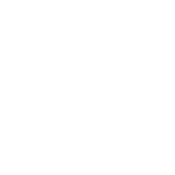 dog paws