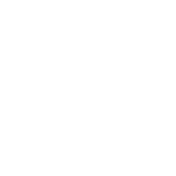 nurse icon